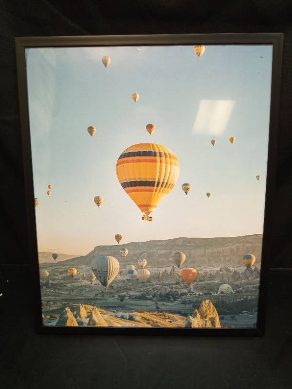 lot 2029 image: Hot Air Balloons Over Desert Landscape Framed Photograph - Retail $15