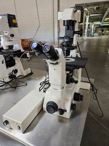 lot 17652 image: Nikon Inverted Microscope with Binocular Head, Stage and Illuminator - Model LHS-H100P-1