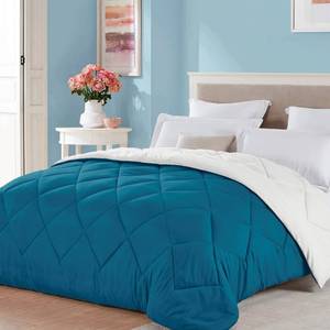 lot 9218 image: Seward Park Twin XL Size Teal Green White Comforter Reversible Lightweight Boys Girls Cooling Bedding College Dorm Bedspread All Season Fall Blanket