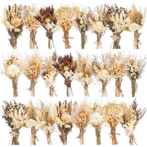 lot 9295 image: Layhit 24 Pcs Boho Dried Flower Bouquet Mini Wedding Handmade Dry Flowers Decor for Vase Crafts DIY Photo Boutonniere for Men Floral Plant for Bridesmaid Gift Birthday Decor(Stylish)