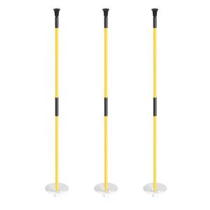 lot 9554 image: KINGTOP Golf Flagstick Mini, Practice Putting Green Flag Stick for Yard, Pole  Pin  Flagpole, Portable 2-Section Design, 3 Foot, 3-Pack