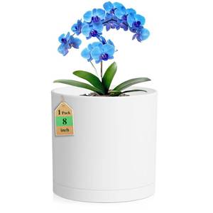 lot 9579 image: WSMKSZ 8 Inch Cylinder Plant Pots for Indoor Outdoor Plants, Medium Deep Flower Pots with Drainage Holes & Saucer, Decorative Plastic Planter Pots for Garden House Plants, White