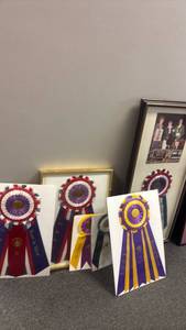 lot 3003 image: Lot of 5 Show Ribbons Award Rosettes Multi-Color Printed Paper largest frame is  33x15