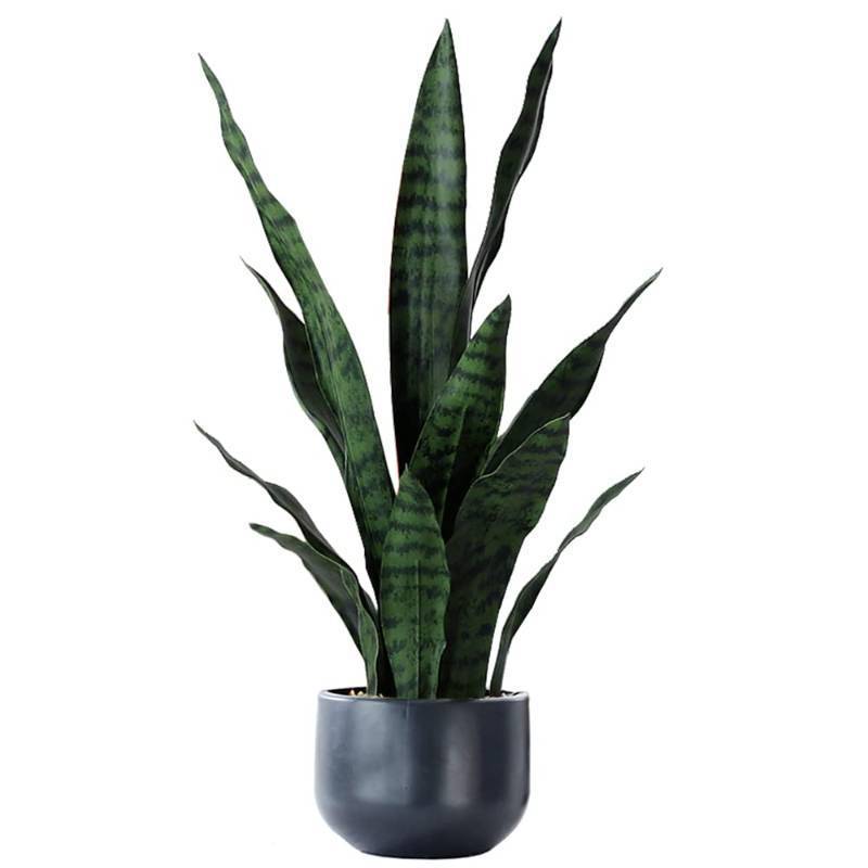 lot 9282 image: Beebel Artificial Plants Sansevieria Snake Plant with Black Plastic Planter Greenery Perfect Faux Agave Fake Plants in Pot for Home Office Indoor and Outdoo D�cor (22 Green) - Retail $43