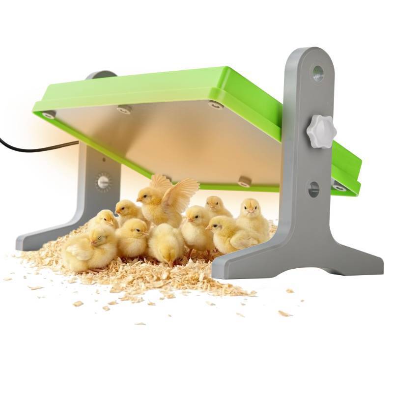 lot 9318 image: Fuzzy Bird Chick Brooder (128) Brooder Heater for Chicks Ducks and Birds Incubation Heating Keep Chicks Warm Newly Upgraded Temperature Adjustable Height Adjustable Chick Heating Plate - Green - Retail $26