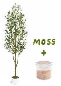 lot 2088 image: Waipfaru Artificial Olive Tree, 6FT Tall Faux Olive Trees with Planter & Basket, Artificial Plants Indoor with Natural Wood Trunk and Realistic Fruits for Home Decor Office Living Room