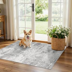 lot 9939 image: Abstract 2x3 Entryway Area Rugs Washable Water Resistant Kitchen Rug Non-Slip Durable Doormat Ultra Soft Bedroom Beside Carpet Indoor Low Pile Floor Mat for Bathroom Stove Sink Area(2x3,LightGrey)