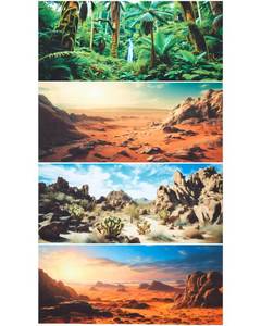 lot 2141 image: Breling 4 Pcs 30 x 11.8 Inch Reptile Habitat Background with Nano Glue Gobi Sun Cactus Stone and Green Tree Fern Stream Terrarium Background Polyester Durable Aquarium Accessories