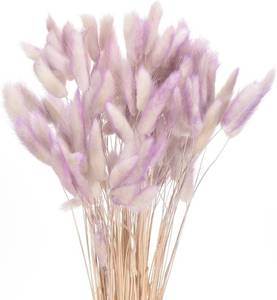 lot 331288 image: MECCANIXITY 120pcs Natural Rabbit Bunny Tails Dried Flowers 17 Mini Pampas Grass Lagurus Ovatus Bunch for Floral Wedding Decor Christmas, Gradient Dark Purple