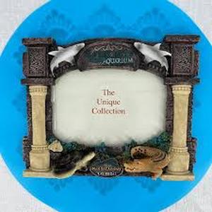 lot 61853 image: Mandalay Bay Shark Reef Aquarium souvenir frame