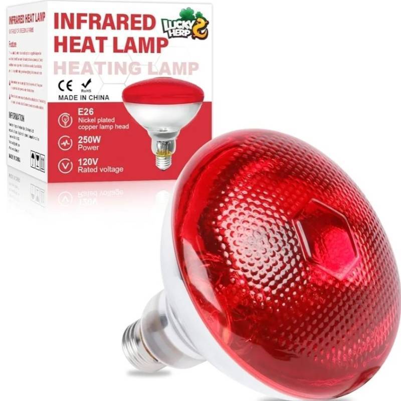 lot 72558 image: LUCKY HERP Infrared Heat Lamp for Chickens - 250 Watts Red Heat Lamp Bulb 1 Pack, Heat Light Bulb for Brooder Coop, Food Service, Chicks, Pet, Reptile - Retail $9