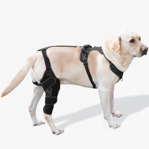 lot 1599 image: FurWell Dog Knee Brace with Adjustable Support ACL &amp CCL Tear Recovery, Post-Surgery for Dogs(Right,L)