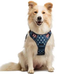 lot 1644 image: rabbitgoo Dog Harness No Pull with 2 Leash Clips, Adjustable Soft Padded, Reflective Oxford No Choke Pet Vest with Easy Control Handle for Large Dogs, Blue Star, M