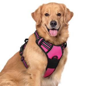 lot 1921 image: rabbitgoo Dog Harness No Pull with 2 Leash Clips, Adjustable Soft Padded, Reflective Oxford No Choke Pet Vest with Easy Control Handle for Large Dogs, Hot Pink, XL