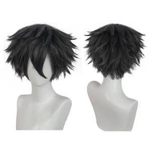lot 3115 image: ANOGOL Hair CapShort Mix Grey Wig for Men Short Straight Hair with Bangs Male Wigs Grey Anime Wig Anime Outfit for Halloween Party Costume Wigs