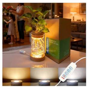 lot 1073 image: Plant Propagation Station with 9-Level Adjustable LED Light, Glass Planter Station with Waterproof Lighted Wooden Base, Desktop Hydroponic Plants Terrarium Vases Jars for Home & Office Decor - Retail $13