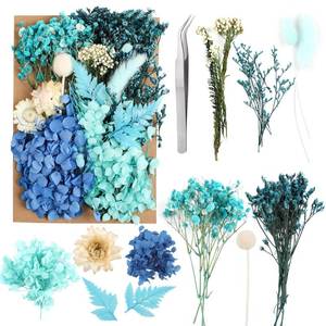 lot 1100 image: JOFONY Dried Flowers,Dried Flowers Set for DIY Scrapbook Accessories Flower Arrangements Flower Decoration Wedding Decoration(Blue) - Retail $7