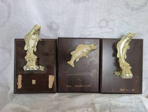 lot 3507 image: Set of 3 Bass Fishing Trophy Plaques with Gold Fish Figurines