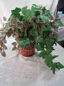 lot 47 image: Italian Ceramic Planter with Artificial Ivy and Coleus Display