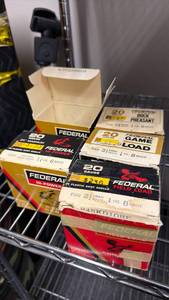 lot 118 image: Federal 20 ga ammunition