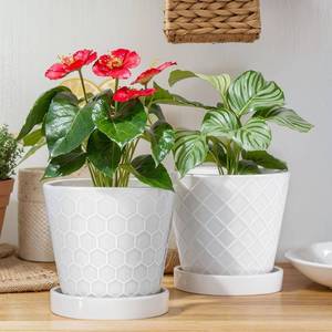 lot 18610 image: EFISPSS Ceramic Plant Pots, 6 Inch Pots for Indoor Plants, Planters with Drainage Hole and Saucer, Flower Pots Desktop Office Windowsill Decoration Gift Set of 2 - White