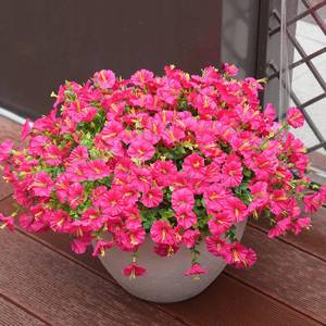 lot 18623 image: Artificial Flowers for Outdoors, UV Resistant Fake Silk Morning Glory, Realistic Faux Plants for Outside Porch Patio Window Box Hanging Planter - YELLOW