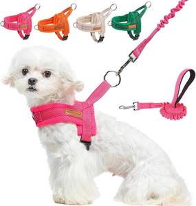 lot 22889 image: BEAUTYZOO Dog Harness for Small Dogs, No Pull Dog Harness and Leash Set, Soft Escape Proof Puppy Vest Harness with Handle, Reflective Lightweight Step in Harness for Girl Boy Dogs, Pink XS