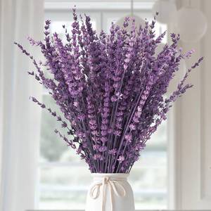 lot 18753 image: Dried Lavender Flowers, Preserved Lavender Bouquet 15-17 Inches, Purple Lavender Bundle for Shower, Home Decor, Vase Filler, Wedding Decorations, Aromatherapy, DIY Crafts, 50g(1.76oz)