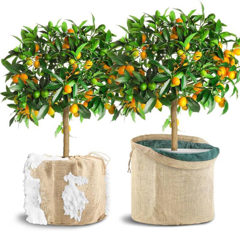 lot 1927 image: 2 Pcs Winter Plant Covers for Pot, 13.7 X 15.7 Burlap Plant Freeze Protection Cover for Flower Pot, Outdoor Pot Covers for Winter with Drawstring, Potted Plant Covers for Plants (13.7 Dx15.7 H (S))