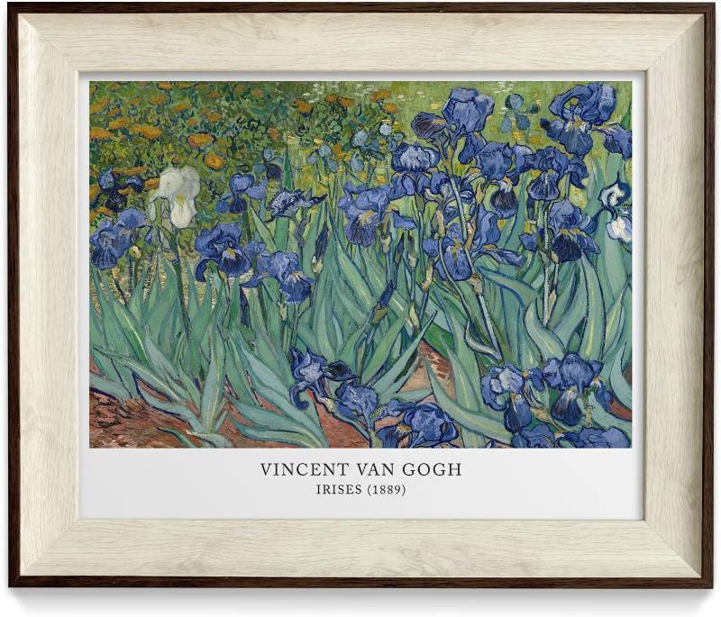 lot 38524 image: razliubit Abstract Flower Wall Art Prints, Replaceable Framed Vintage Wall Decors for Room Aesthtic, Small Framed Artwork Oil Painting for Bedroom Bathroom Kitchen Office Decor(10x12)