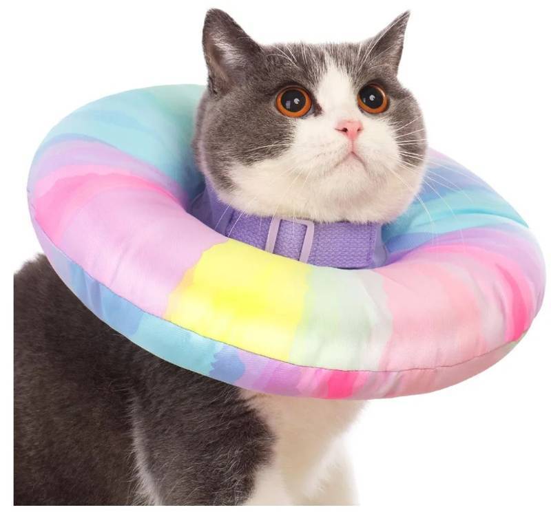 lot 37253 image: Cat Cone Collar Soft M Size, Alternative Neck Cones to Stop Licking, Comfy Elizabethan Collars After Surgery Neuter, Donut Collar for Pet Cat Dog Kitten e Collar Recovery Shame - Retail $13