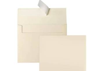 lot 46681 image: Ivory Blank Cards and Envelopes (Not-Folded), Cream Flat Note Cards 4.25 x 5.5 and A2 Envelopes Self Seal 100 Pack for Wedding, Invitations, DIY Notecards, Birthday & All Occasion - Retail $25