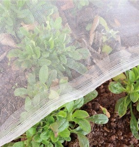 lot 3456 image: 2 Pack Garden Mesh Netting