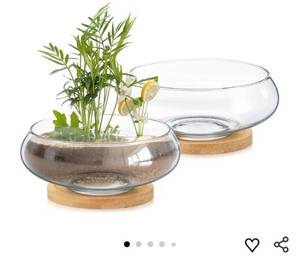 lot 58608 image: 2 Sets Glass Planter Bowls for Flowers with Tray 6 Round Glass Vase Bowl Hydroponic Lotus Planter Pot Propagation Vases Fish Bowl for Plants Indoor Windowsill Kitchen Desktop Wedding Decor - Retail $21