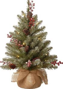 lot 20180 image: National Tree Company 2 ft Pre-Lit Flocked Dunhill Fir Mini Artificial Christmas Tree, 15 Clear LED Lights, 75 Tips, Pinecones, Red Berries, Timer, Burlap Base, Green