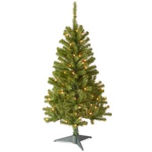 lot 20192 image: National Tree Company 4 ft Pre-Lit Grande Canadian Fir Mini Artificial Christmas Tree, 100 Clear Lights, 230 Tips, Includes Stand, Green