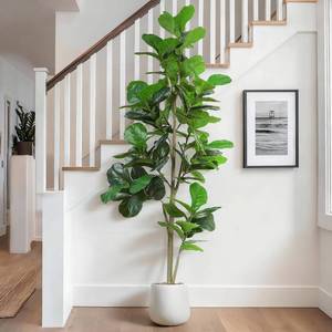 lot 20230 image: Jocoevol Artificial Fiddle Leaf Tree, 7ft Faux Plant Fake Ficus Lyrata Trees with White Planter - Perfect for House, Office, Living Room Indoor Home Decor, Ideal Housewarming Gift