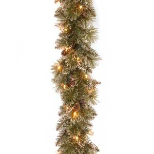 lot 21143 image: National Tree Company Pre-Lit Artificial Christmas Garland, Green, Glittery Bristle Pine, White Lights, Decorated With Pine Cones, Frosted Branches, Plug In, Christmas Collection, 9 Feet