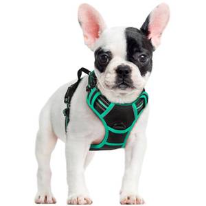 lot 7206 image: rabbitgoo Dog Harness No Pull with 2 Leash Clips, Adjustable Soft Padded, Reflective Oxford No Choke Pet Vest with Easy Control Handle for Small Dogs, Black & Turquoise, S - Retail $26