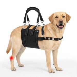 lot 1265 image: CWV Adjustable All Dogs Lift Harness for Large Dogs, Soft and Portable Dog Dling for Large Dogs Hind Leg Support, Dog Harness for Senior, Injured, Disabled and After Surgery Dogs, X-Large
