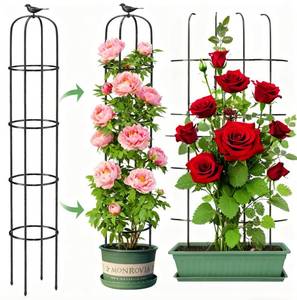 lot 15134 image: 6.2ft Garden Obelisk Trellis for Climbing Plants Rustproof Metal Pipe with Heavy Duty Plastic Coated Garden Outdoor Indoor Potted Plant Support for Clematis Vine Jasmine Support - Retail $20