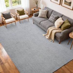 lot 15141 image: FinRe�c 5x7 Washable Area Rugs for Bedroom Living Room, Low Pile Thin Rug Solid Color, Non-Slip Carpet Indoor for Home Decor (Pure Light Grey) - Retail $45