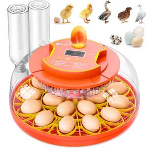 lot 62743 image: 18 Egg Incubator with Automatic Egg Turning, Digital Temperature Humidity Control, Incubator for Hatching Eggs, 360° View Candler, Chicken, Quail, Duck, Goose, Turkey for Home & Farm - Retail $49