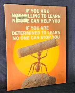 lot 141 image: Motivational Wall Art Print Ant Carrying Log Inspirational Quote&nbsp