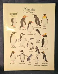 lot 157 image: Penguins of the World Wall Art canvas print&nbsp