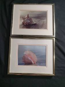 lot 6179 image: Signed Seashell Photography Prints Set of 2 Framed Wall Art by Ruth Burke