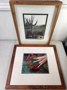lot 242 image: Two Framed Photographs Saguaro Cactus and Red Flowers Matted Print Set