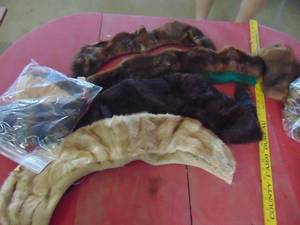 lot 4559 image: Selection of Furs