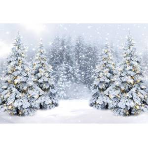 lot 1309 image: Winter Wonderland Forest Backdrop 12x8ft Fabric Christmas Snowflakes Birthday Party Decoration Christmas Eve Events Winter Baby Shower Backdrops - Retail $45
