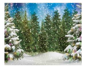 lot 15231 image: Funnytree 10x8FT Winter Forest Landscape Photography Backdrop Snowy Christmas Pine Tree Background Natural Scene Xmas Party Wall Decoration Supplies Photo Booth - Retail $34
